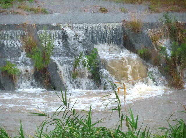  黑皮志工隊 × 同島一心：印尼、越南移工清晨趕赴花蓮救災 